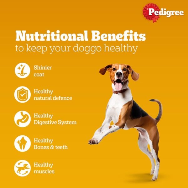 Pedigree Adult Dry Dog Food, Chicken & Vegetables - Image 5
