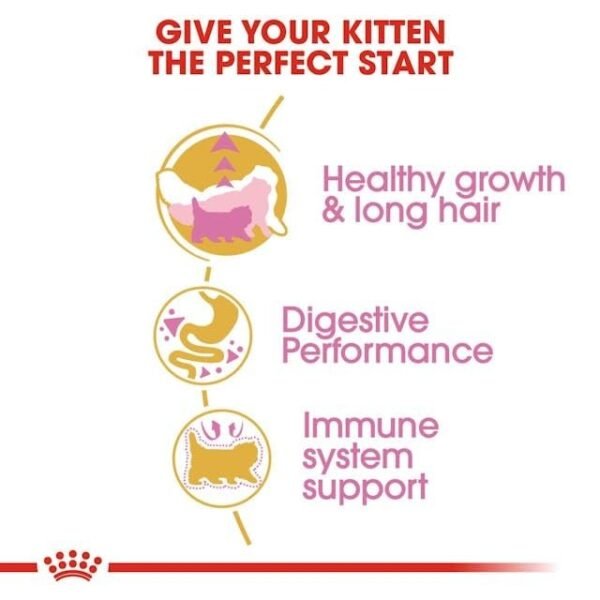 Royal Canin Persian Kitten Dry Cat Food 2 Kg - Image 3
