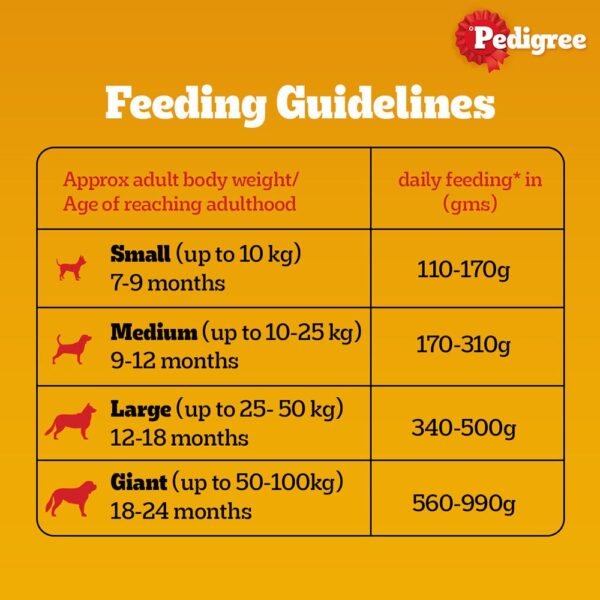 Pedigree Adult Dry Dog Food, Chicken & Vegetables - Image 2