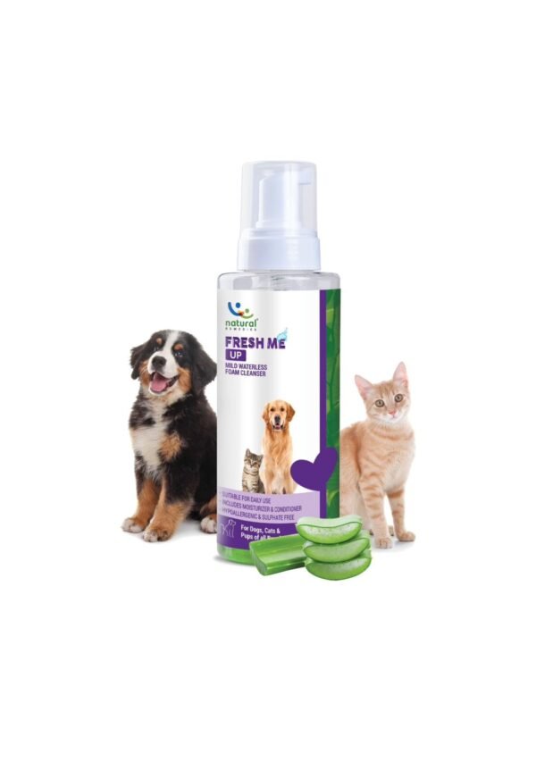 Natural Remedies Fresh Me Up Mild Waterless Foam