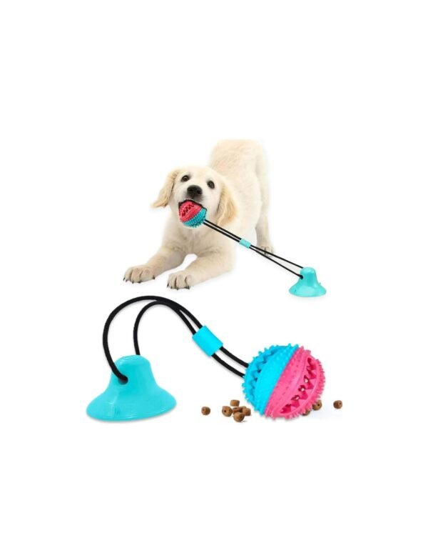 Suction Cup Dog Chew Toy